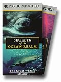 Secrets of/Ocean Realm