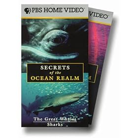 Secrets of the Ocean Realm (5pc) [VHS]