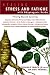Book Healing Stress And Fatigue Author Adaptogenic Herbs: Thriving Beyond Surviving