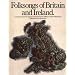 Folksongs Of Britain And Ireland S/b (Vocal Songbooks)