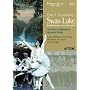 Tchaikovsky: Swan Lake [DVD] [2005]