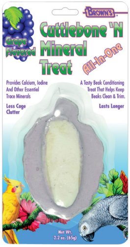 Childrens Toyshop  Pet Supplies : FM Browns Cuttlebone n Mineral Treat 2.2oz