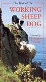Review Contender Entertainment Group  / The Year Of The Working Sheep Dog [2000]