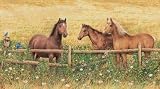 Brewster Round the World 259-72007 Pre-pasted Wall Mural Horses at Fence, 60-Inch Height x 108-Inch Width