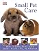 Search : Small Pet Care: HOW TO LOOK AFTER YOUR RABBIT, GUINEA PIG, OR HAMSTER