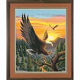 Eigenschaften Dimensions / Eagle ( Adler ) Malen nach Zahlen