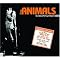 A Zoo of Music, Bands Named After Animals