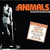 Image of album by The Animals