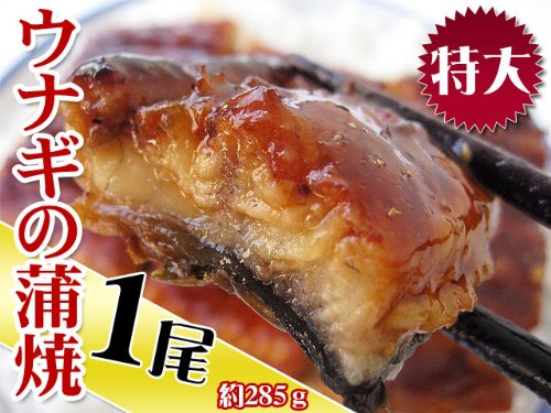 スタミナ満点！通常規格外！うなぎの蒲焼1尾（有頭）！