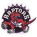 Toronto Raptors Logo Patch