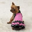 Parisian Pet Sun Dress - While Supplies Last!