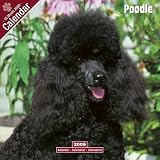 Eigenschaften Avonside Publishing Ltd.  / Kalender 2009 Pudel - Caniche - Poodle
