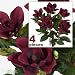 FOUR 2' Magnolia Artificial Silk Flower Bushes (Burgundy) for Home, Garden and Decoration