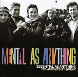 Mental As Anything lyrics