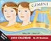 Gemini: 2010 Mini Day-to-Day Calendar