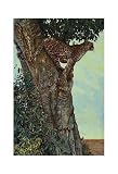 (13x19) Kalon Baughan On the Lookout Art Print Poster