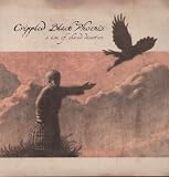 A Love of Shared Disasters [Vinyl]