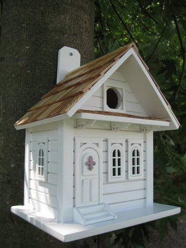 Fledgling Series Shotgun Cottage Victorian White