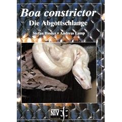 Boa constrictor.
