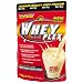All Stars Whey-Plex, Schoko, 1er Pack (1 x 500 g Beutel)