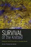 Survival of the Knitted: Immigrant Social Networks in a Stratified World