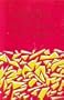 Selected Papers on Noise and Stochastic Processes