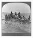 Historic Print (L): Shad fishermen loading their half-mile of net worth $1500 for another haul, Delaware Riv