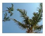 A view from below Photographic Poster Print by Jaime Davies, 10x8
