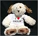 

Plush Dog (Dog Tired) toy with I Love Cherise