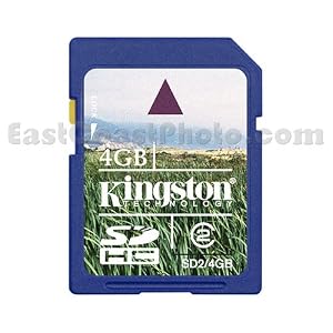Panasonic HDC-SD100 Camcorder Memory Card 4GB Secure Digital High Capacity (SDHC) Memory Card