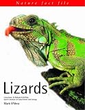 Lizards (Nature Fact File)