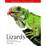 Lizards (Nature Fact File)