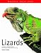 Lizards (Nature Fact File)