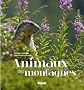 Animaux des montagnes