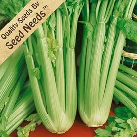 Celery (Utah 52-70) - 1,000 Seeds