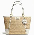 Coach Alexandra Chain Straw Tote 21959 Silver/Natural/Parchment