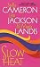 Books : Slow Heat (Zebra Romance)