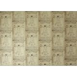 Rossi Italian Da Vinci's Vitruvian Man Paper Decoupage Gift Wrap 20 by 28 inches