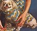 Vintage Crochet PATTERN to make - Dog Pupply Sweater Coat Hat/Jibber Ripple Pattern. NOT a finished 
