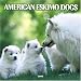 American Eskimo Dogs 2005 Calendar