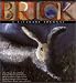 Book Brick: A Literary Journal : Fall 2000