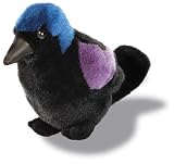 Common Grackle - Audubon Plush Bird (Authentic Bird Sound)