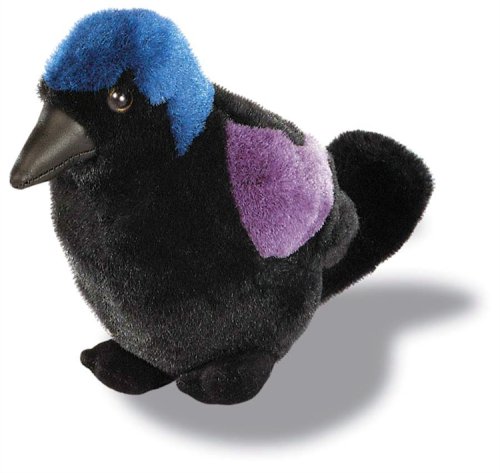 bird:Common Grackle - Audubon Plush Bird (Authentic Bird Sound) Images