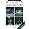 Books on Michigan