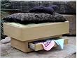 Luxury Dog Bed - Alder Natural Mini Platform Dog Bed (Complete Set) Includes - Bed, Mattress, Mattress Cover & Sheet. 13"h X 21"w X 27"d Made in USA