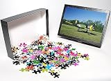 Photo Jigsaw Puzzle of Yak-18U/Nanchang from Danita Delimont