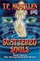 Scattered Souls: Book Two in The Manipulated Evil Series