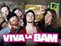 Viva La Spring Break 1
