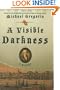 A Visible Darkness: A Mystery