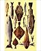 Photographic Prints of Mrs Beeton s cookery book - fish from Lebrecht Music a Arts Photo Library
